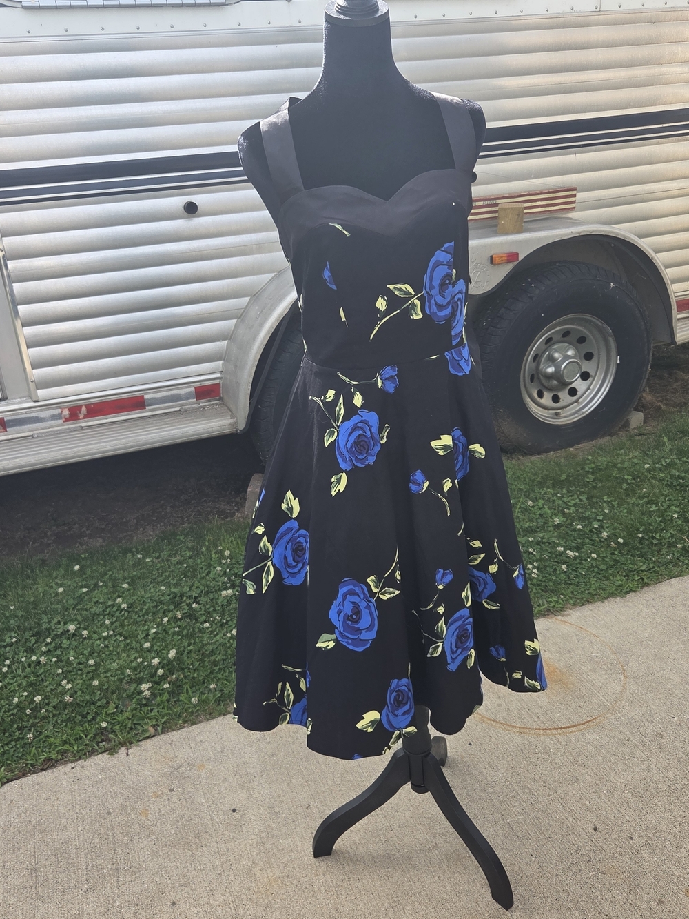 Dress Tells Size M Black Dress with Blue Rose Print - Sleeveless Fit & Flare